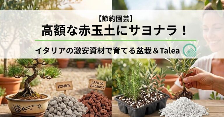 【節約園芸】高額な赤玉土にサヨナラ！イタリアの激安資材で育てる盆栽＆Talea